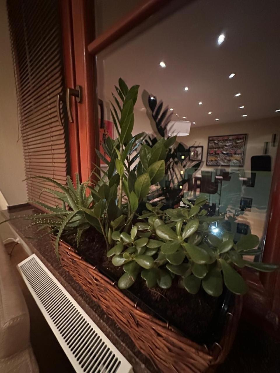 Apartament Josefina Polanica-Zdrój Eksteriør bilde